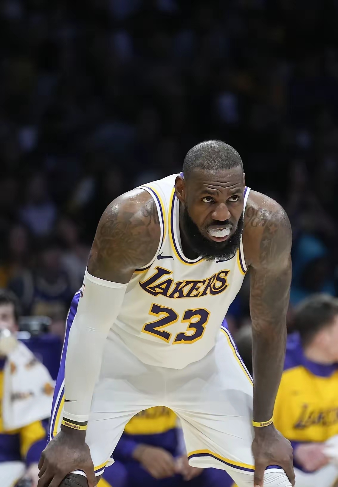 PG电子-包含RNG不断突破！，詹姆斯连续三场比赛得分超过出色发挥赛场气氛高涨的词条